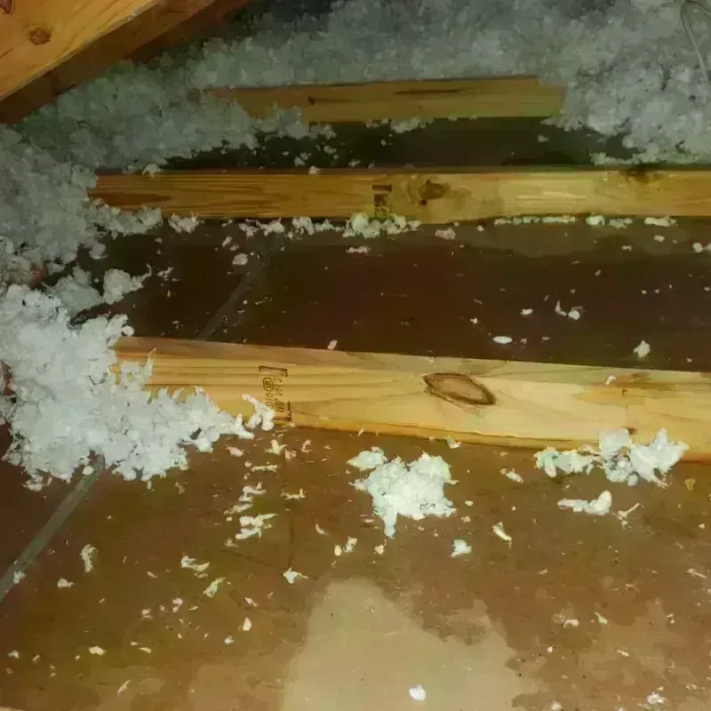 Attic Water Damage in Crawford County, OH